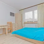 Rudnik Z Basenem, Sauna I Bania Üdülőpark