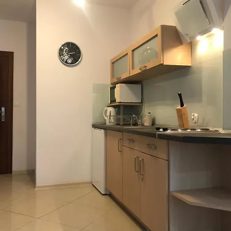 Rudnik Z Basenem, Sauna I Bania *