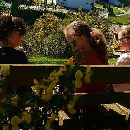 Rudnik Z Basenem, Sauna I Bania פארק נופש Chłapowo