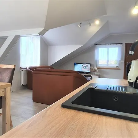 Rudnik Z Basenem, Sauna I Bania Chłapowo