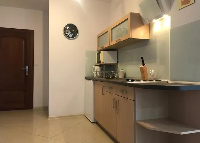 Rudnik Z Basenem, Sauna I Bania *