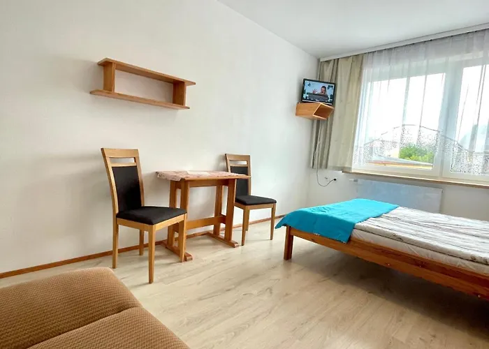 Rudnik Z Basenem, Sauna I Bania Chłapowo